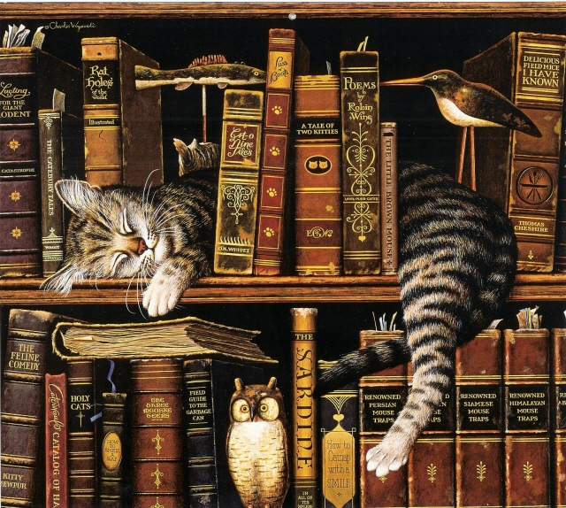 About – Cat on the Bookshelf